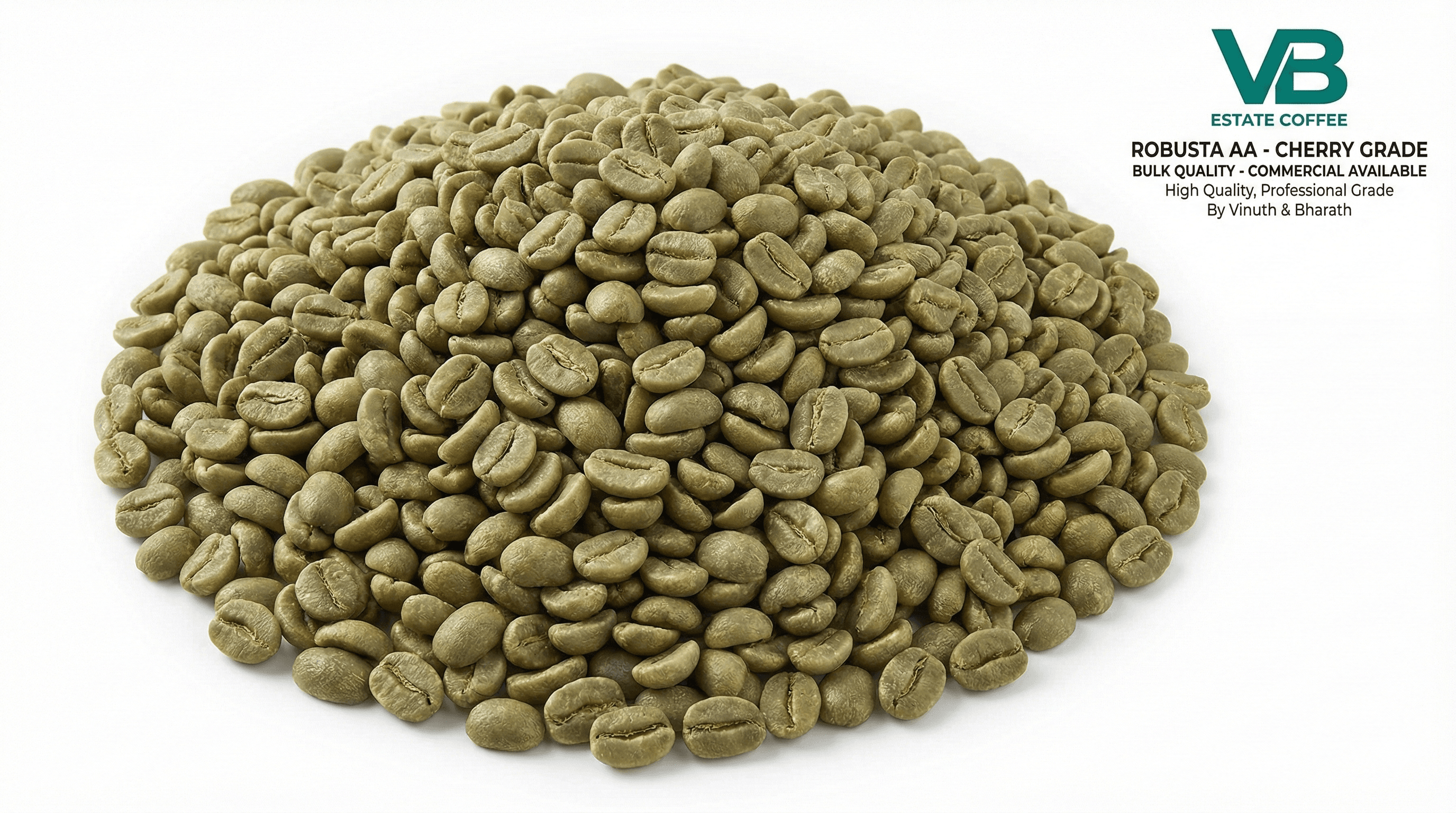 Robusta Screen 17 Green Coffee Beans - Commercial Grade - India Export | VB Exports